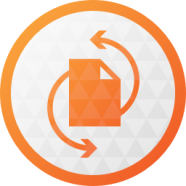 Paragon Hard Disk Manager.png