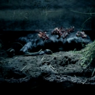 vlcsnap-2020-05-15-00h33m08s966.png