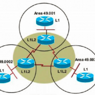 Intermediate System-Intermediate System (IS-IS) Zero-to-Hero.png
