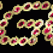 gif_animate_compleanno_04.gif