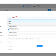 Pazu Netflix Video Downloader screen.png