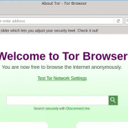 Tor Browser sc.png
