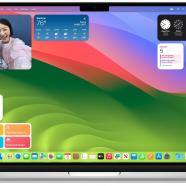 macOS Sonoma Developer screen.jpg