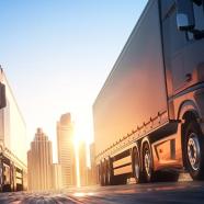 SAP SHANA TM (Transportation Management) 2020 Functional.jpg