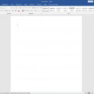 Microsoft Office Professional Plus 202 it.jpg