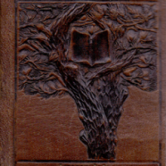 cover.png