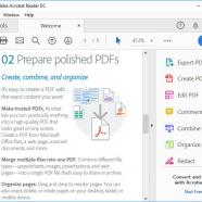 Adobe Acrobat Reader DC screen.jpg