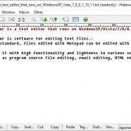 Hidemaru Editor screen.jpg