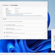 Windows 11 Pro sanlex.jpg
