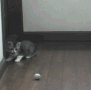 28zMDYyNSJ.gif