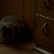 vlcsnap-2019-10-14-22h42m13s005.png