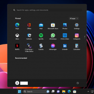 Windows 11 Pro sc 2.png