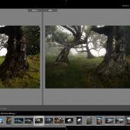 Adobe Lightroom Classic screen.jpg