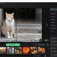 Ashampoo Photo Optimizer screen.png