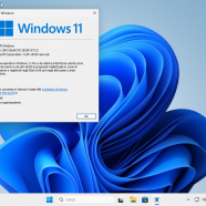 VirtualBox_W11 TEST_14_10_2026_15_42_47.png