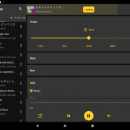 Reverse Music Player sc.png