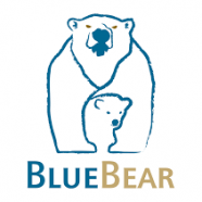 BlueBear Forensic Carver.png