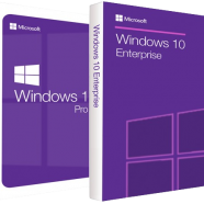 Windows 10 Pro_Enterprise 22H2.png