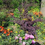 IMG_1393.jpg