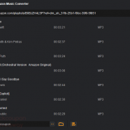 ViWizard Amazon Music Converter screen.png