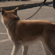vlcsnap-2019-10-25-11h06m23s356.png