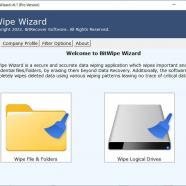 BitWipe Wizard screen.jpg