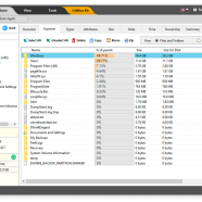 SysTweak Disk Analyzer Pro sc.png