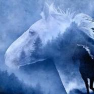 Photoshop Essentials For Photographers Edit Like A Pro.jpg