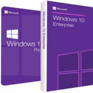 Windows 10 Pro_Enterprise 22H2.png