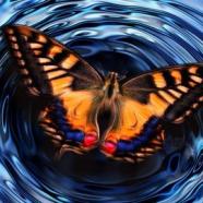 Begin The Journey Inside Out - Self Transformation 101.jpg