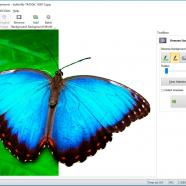 SoftOrbits Background Remover sc.jpg