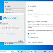 Windows 11 & Windows 10 march 10.png