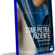 come pietra paziente.png