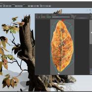 SpeedTree Modeler screen.jpg