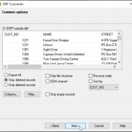 DBF Converter screen.png