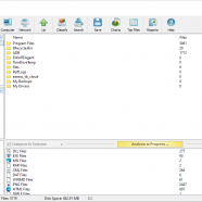 Disk Savvy screen.png