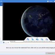 GiliSoft Video Watermark Master screen.PNG