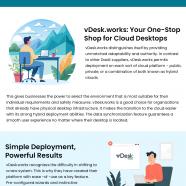 vDesk.Works Your Secure, Scalable Geteway to the Cloud1.jpg