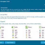 GiliSoft Any File Encryptor screen.jpg