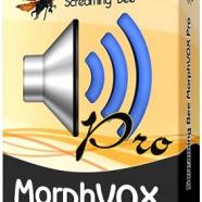 1453328425_screaming-bee-morphvox-pro.jpeg
