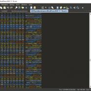 SweetScape 010 Editor screen.jpeg