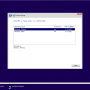 Windows 11 Insider Preview 22H2 Home.png