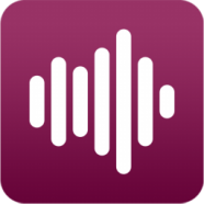 Duplicate Music Fixer.png