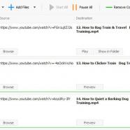 Internet Video Downloader sc.jpg