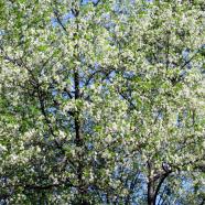 IMG_0303.jpg