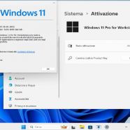 Microsoft Windows 11 Pro for Workstations it.png