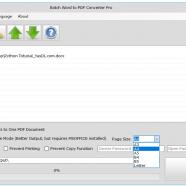 Batch Word to PDF Converter screen.jpg