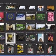 Proxima Photo Manager Pro screen.jpg