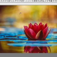 Pixarra TwistedBrush Pro Studio screen.jpg