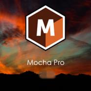 Mocha pro.jpg